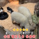 울산동물원 아이와 어른 모두 즐거운 송정 헬로우쥬 동물원 솔직 후기