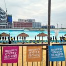 2023 알로하 거북섬 페스티벌 | [2023 알로하 거북섬 페스티벌] 웨이브파크에서 즐기는 시흥 축제 후기!