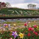 곡성-190 네이버블로그