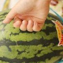 디피에스 이미지