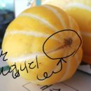 성주 이미지