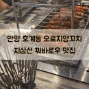 오로지양꼬치 이미지