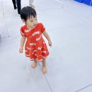 다다르다 파주운정센터 | 짐플레이 파주운정센터 후기 파주아기랑갈만한곳 팀티칭으로 40분 꽉 찬 유아체육