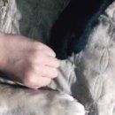 복대박 이미지