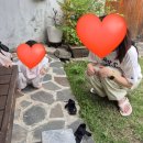 (주)한올 | 전주 한옥마을 마당 있는 감성 숙소 한옥 민박 교동 94 2호점 한올