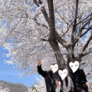 플레이(레스) | 포천 포레스트힐 12홀 주말 라운딩~ 3인 플레이 후기/처음 가는분 필독 (feat. 주변 맛집 - 까막골...