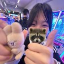 뾰로롱 인형뽑기 이미지