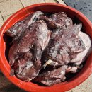 덕충 아구찜 식당 네이버블로그