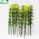 테라리움A 이미지