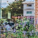 읍사무소(실내) 이미지