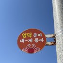 [영덕 대게 맛집] 신광수산 & 초장집 후기