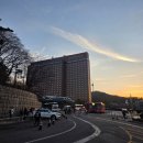 호텔연 | 신라호텔 팔선 룸 디너 코스 궁정연 가격 후기