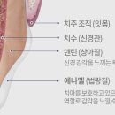이안치과의원 이미지