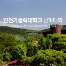 가톨릭대학교 이미지