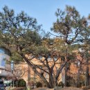 석바위시장역사(2호선) | 석바위 - 석바위 둘러보기