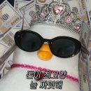 더오리 이미지