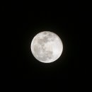 만월(Full Moon) 이미지