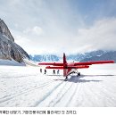 도도한여우