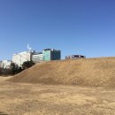 서울백제병원 Daum카페