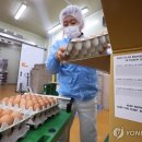 계림농장 이미지