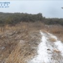 한반도면-1 네이버블로그