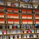 UR(파주시)-[와석순환로]-하-30 | [경기도/파주] 운정 스타필드 빌리지 내 카페 후기, 인크커피