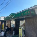 산야 | 대마도 산야제과(야마하치제과) 카스마키 구매 후기, 비교