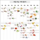 제일과일야채