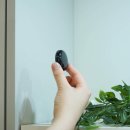 반려동물 집사 필수템? 헤이홈 스마트 리모컨 허브 Mini 써보니...