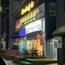 달링하이 강아지분양 밀양점 | 달링하이 밀양점에서 천사견 골든리트리버 새끼 분양 받은 후기
