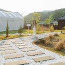 풀스테이스테이펫홍천 이미지