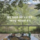 [경남 밀양] 밀양 얼음골 야외 노상 맛집 &#39;부산집&#39; 애견동반 후기