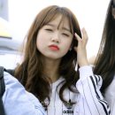 콰이 이미지