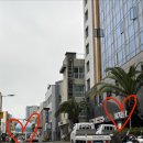 케니스테이호텔서귀포 서귀포올레시장 도보 1분! 2박 3일 솔직후기, 가성비 제주 숙소 추천