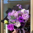 (주)애니피드 이미지