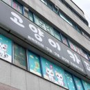 익산 고양이카페 아이캣유 이미지