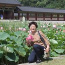 거창-고제-2 이미지