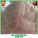 갑진약국 이미지