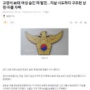 고양서 80대 여성 숨진 채 발견…자살 시도하다 구조된 남편·아들 자백 이미지