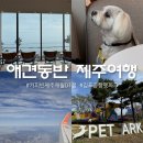 펫버스 | 애견동반 제주여행 커피빈 제주애월DT점, 김포공항 펫파크 후기