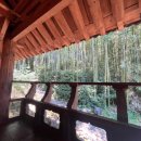 구례진달래집 이미지