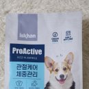 옥수수 펫샵 이미지