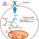 Re: living with cancer 구체적 방법 - 정리중!! 이미지