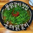 동해닭갈비 | 강원도 동해 물닭갈비 맛집! 동해닭갈비 내돈내산 후기✨