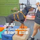 트리머펫 이미지