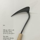 호미의꿈 이미지