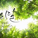 누리달꽃