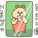 H4074 이미지