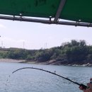 BS컴퍼니 이미지