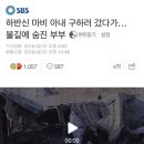 추곡초등학교 이미지